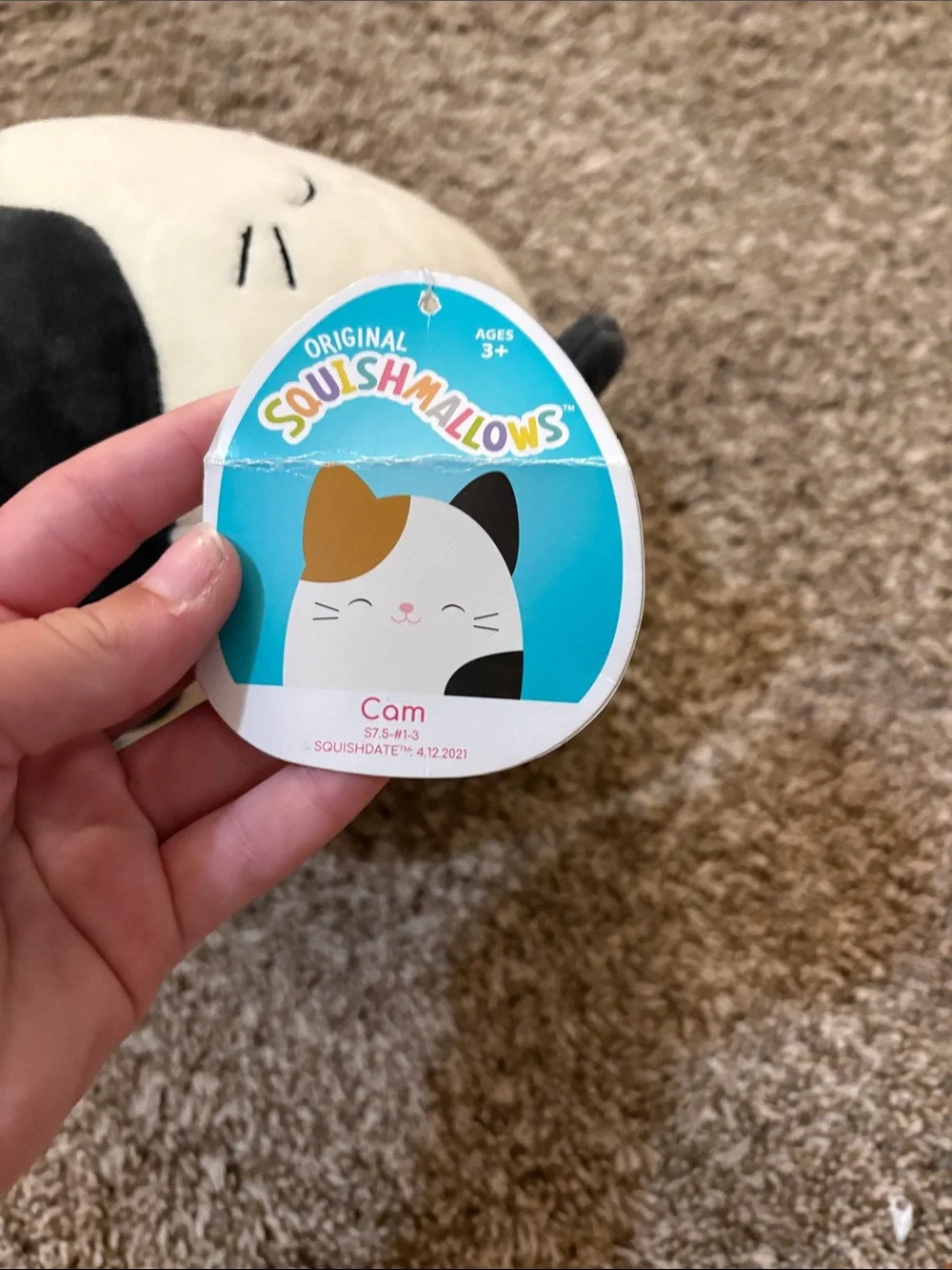 Squishmallows Calico Cat Plush - Cream, Brown, Black